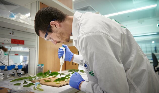 Lab worker